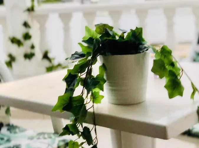 Apartmán Diki: La Casa Marina De Plata Playa de las Americas (Tenerife)