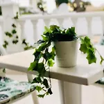 Apartament Diki: La Casa Marina De Plata Playa de las Americas (Tenerife)