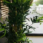 Diki: La Casa Marina De Plata *
